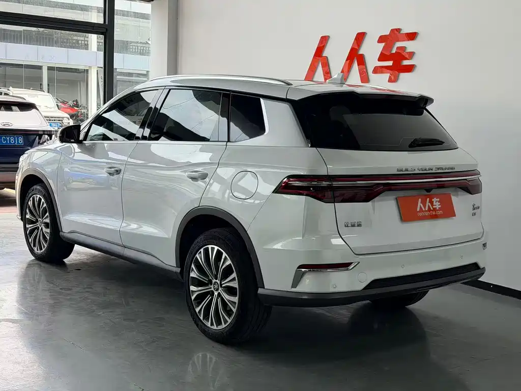 BYD Pro New Energy 2020 — фото 19