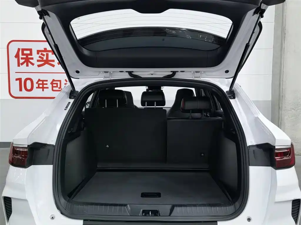 BYD PLUS 2022 — фото 16