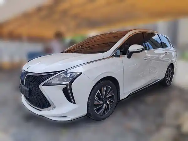 Dongfeng Popular Yacht 2023