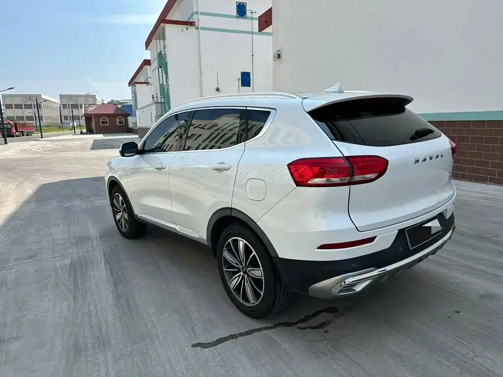 Haval H6 2021 — фото 9