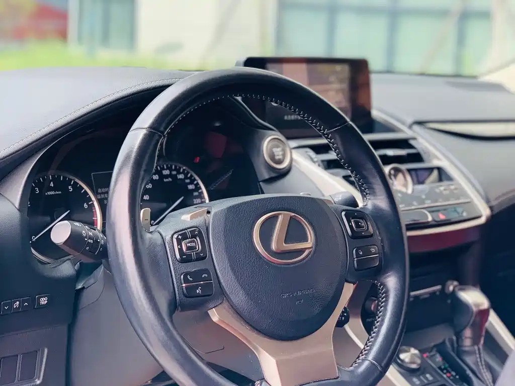 Lexus NX 2020 — фото 12