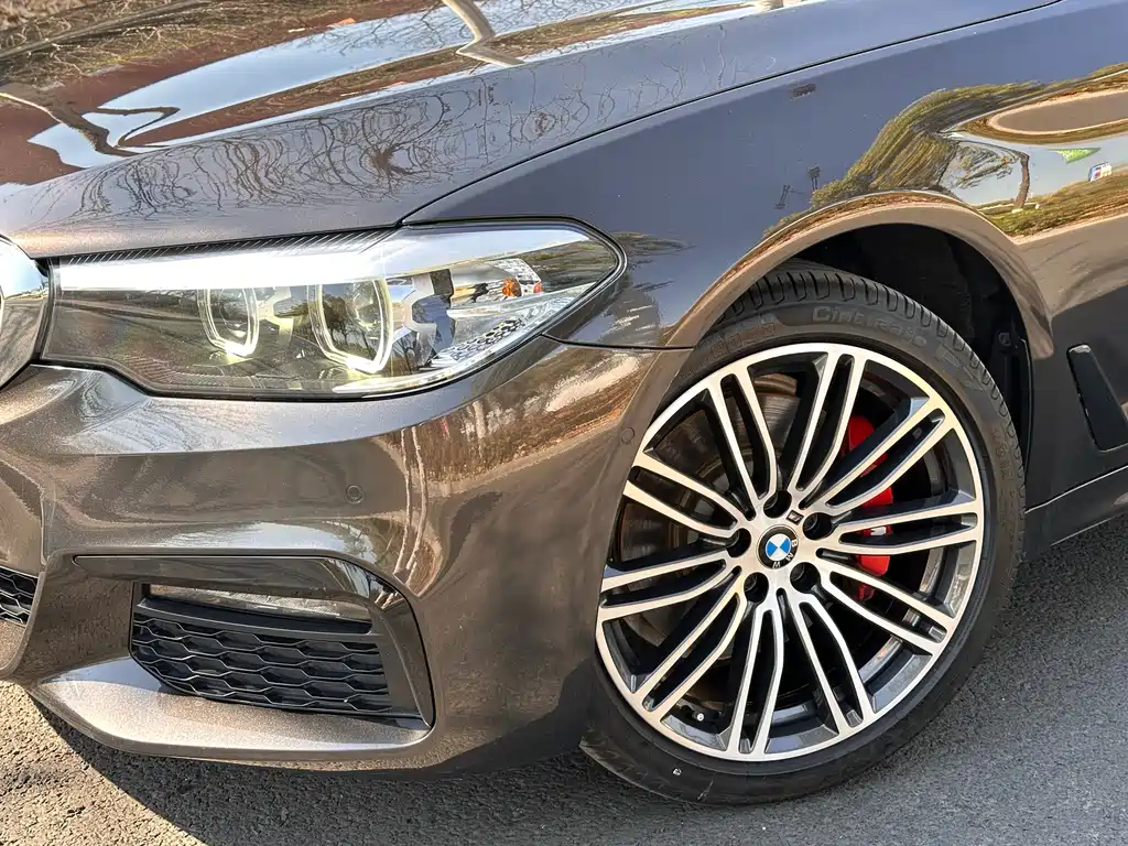 BMW 5 Series 2019 — фото 19
