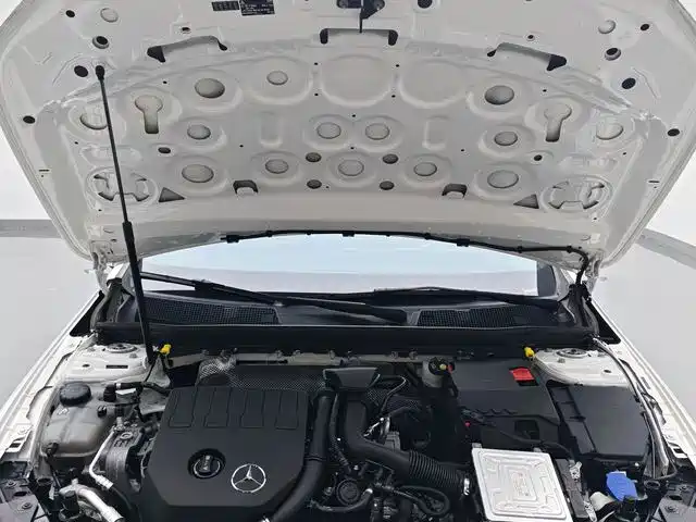 Mercedes-Benz A-Class 2020 — фото 16