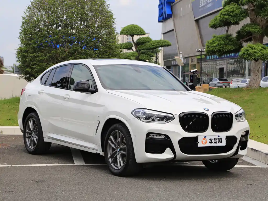 BMW X4 2019 — фото 3