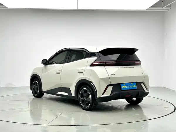 BYD Seagull 2024