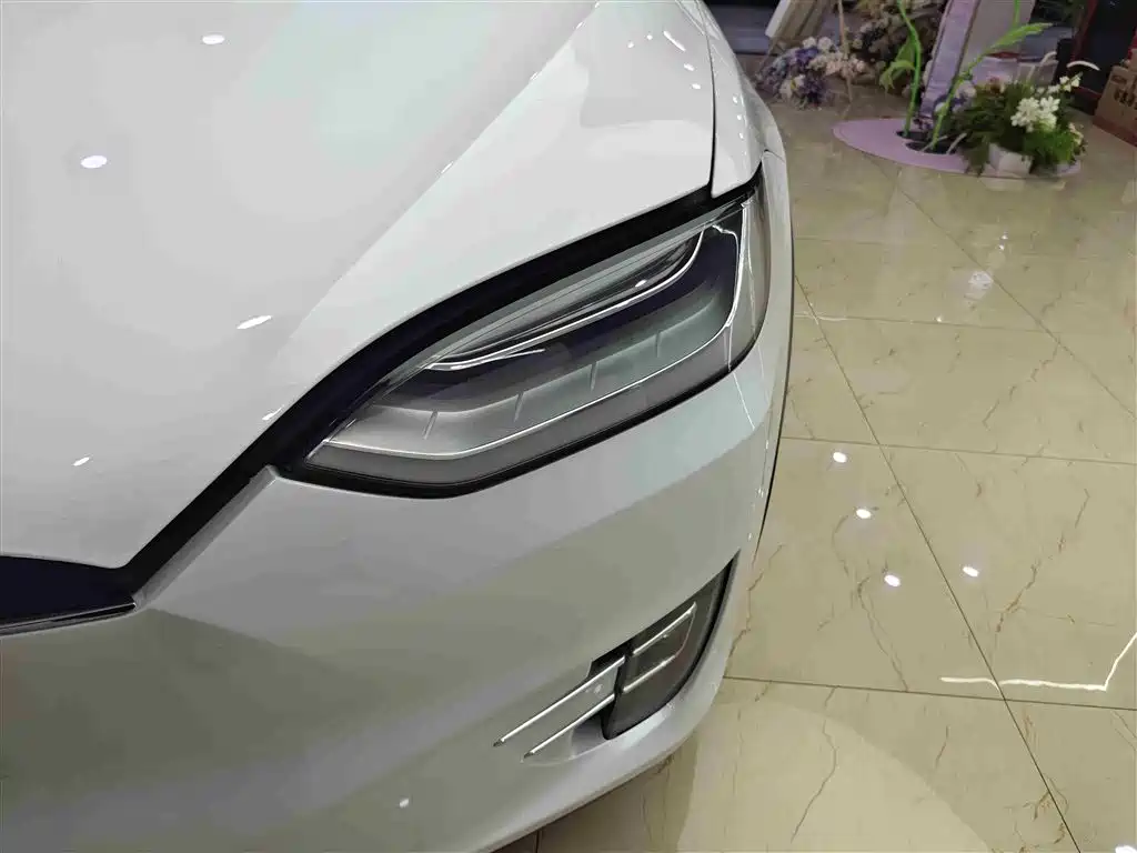 Tesla Model X 2020 — фото 9