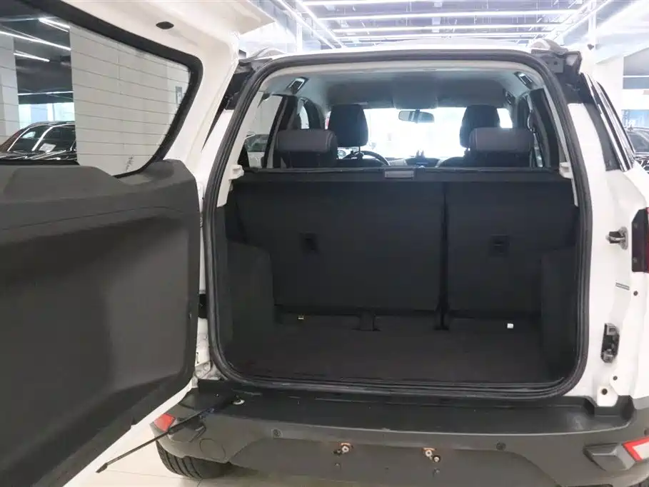 Ford Ecosport 2014 — фото 14