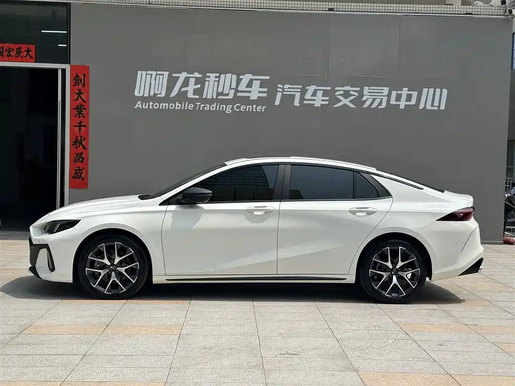 GAC Motor Shadow Leopard 2023 — фото 21