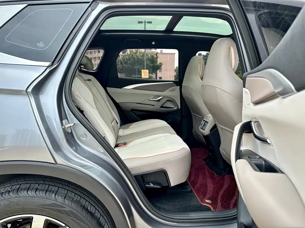 BYD Pro New Energy 2023 — фото 18