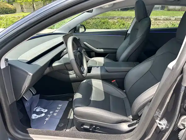 Tesla Model 3 2025