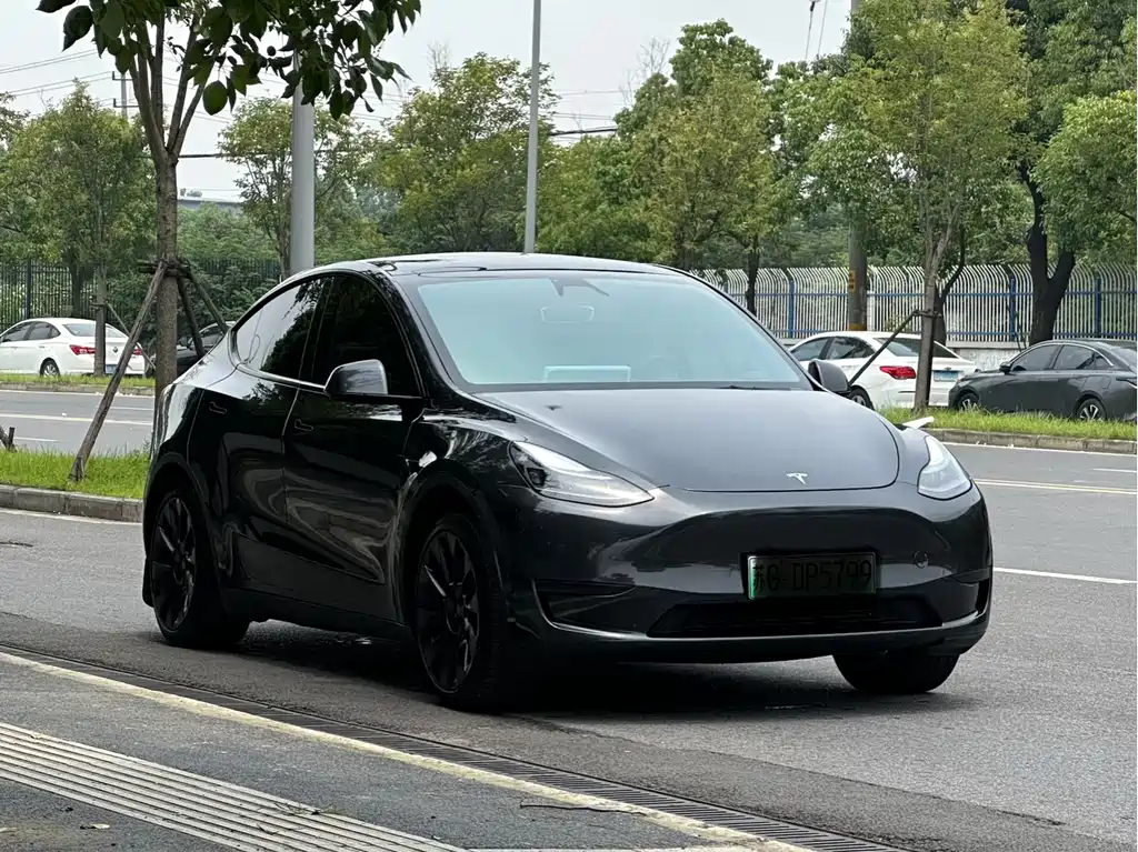 Tesla Model Y 2024