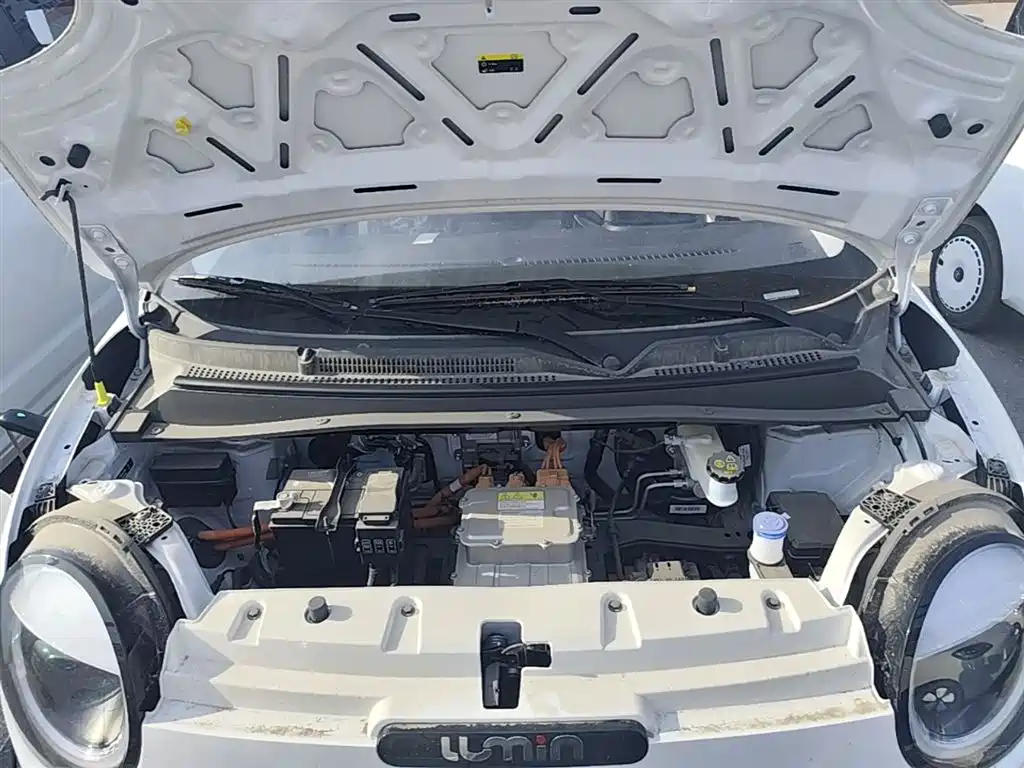 Qiyuan Lumin 2026 — фото 20