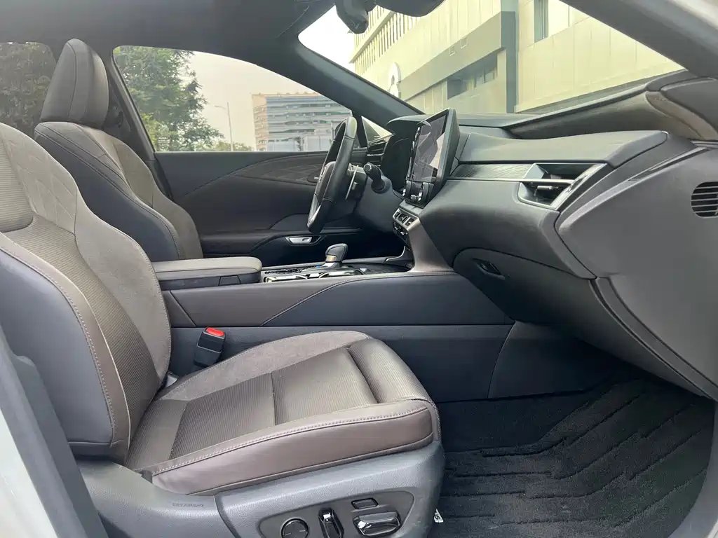 Lexus RX New Energy 2023 — фото 10