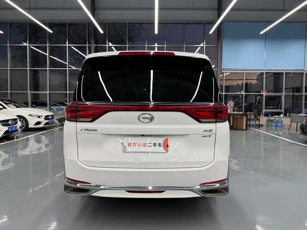 GAC Motor Trumpchi M8 2021 — фото 14