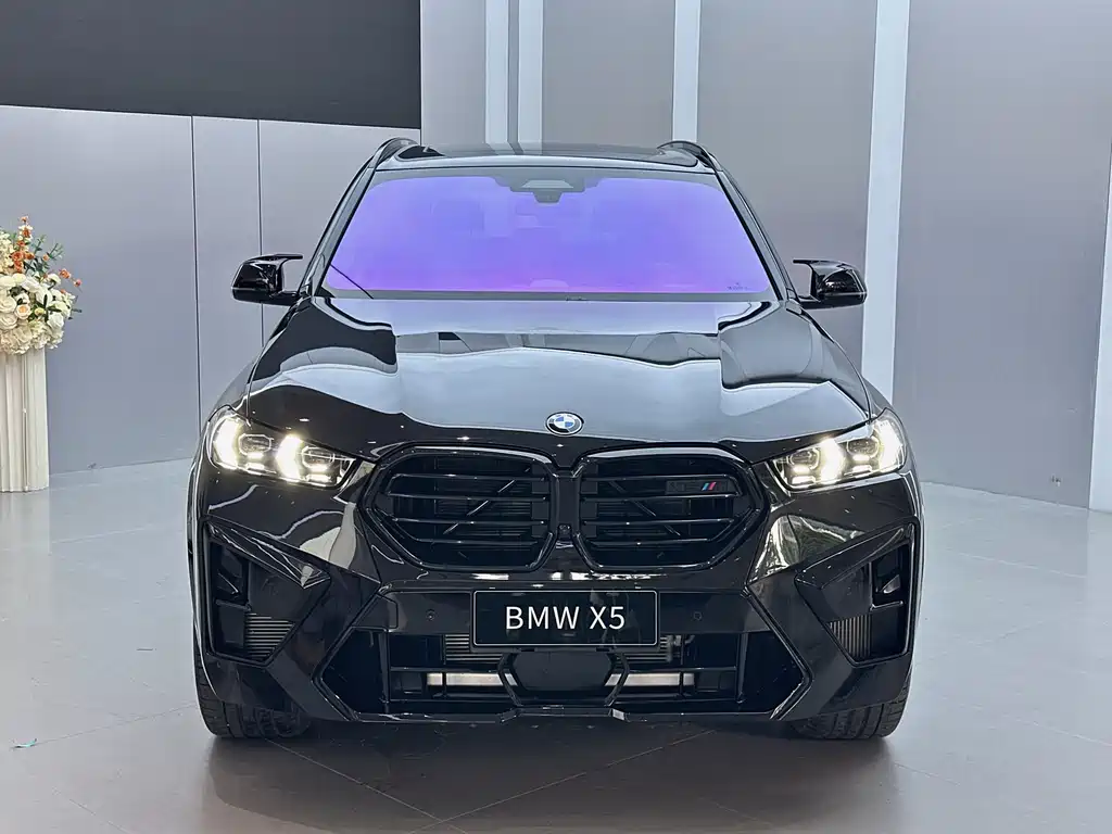 BMW X5 2024
