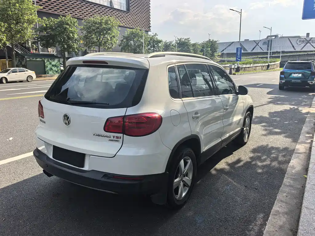 Volkswagen Tiguan 2010
