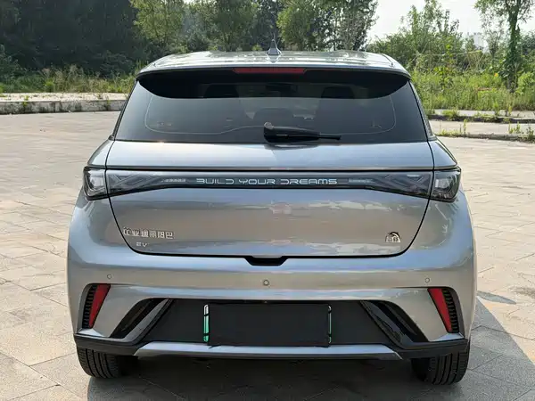 BYD Dolphin 2024