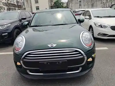 MINI MINI 2015