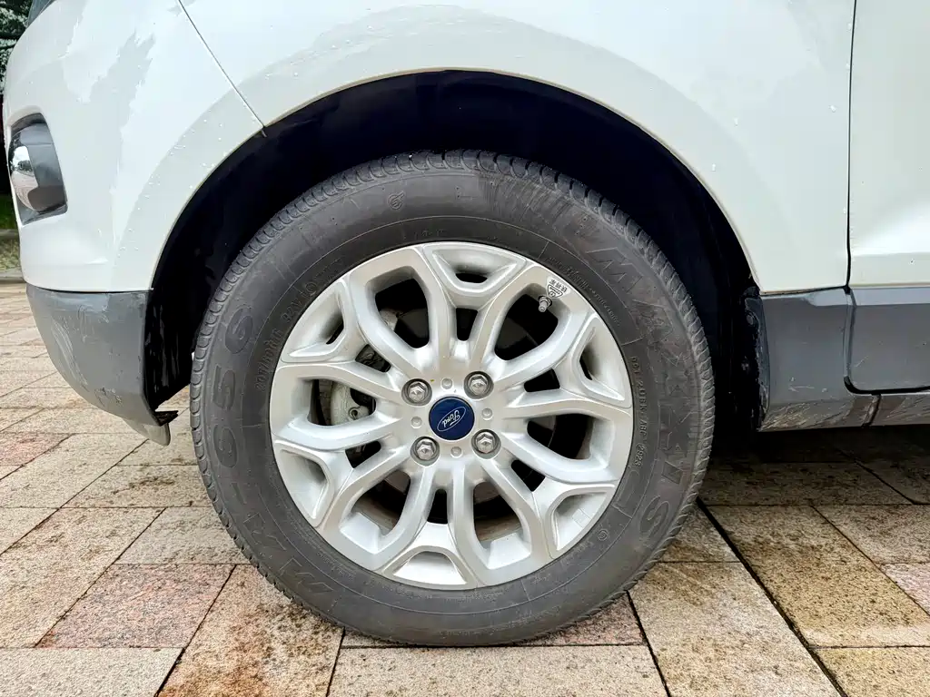 Ford Ecosport 2015 — фото 23