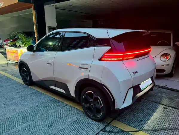 BYD Seagull 2024
