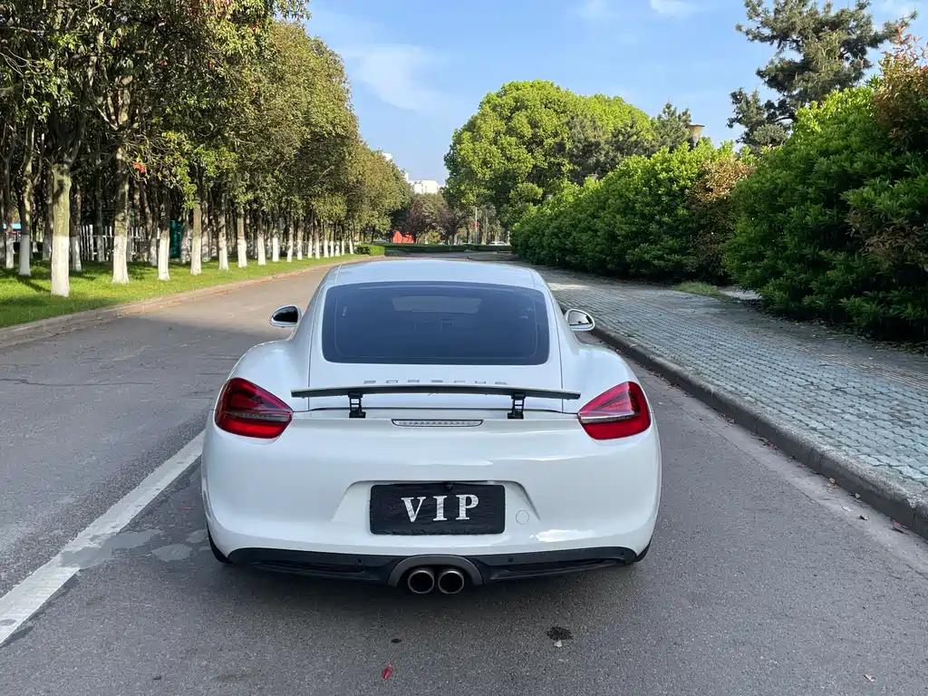 Porsche Cayman 2015 — фото 27