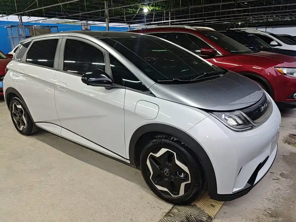 BYD Dolphin 2022