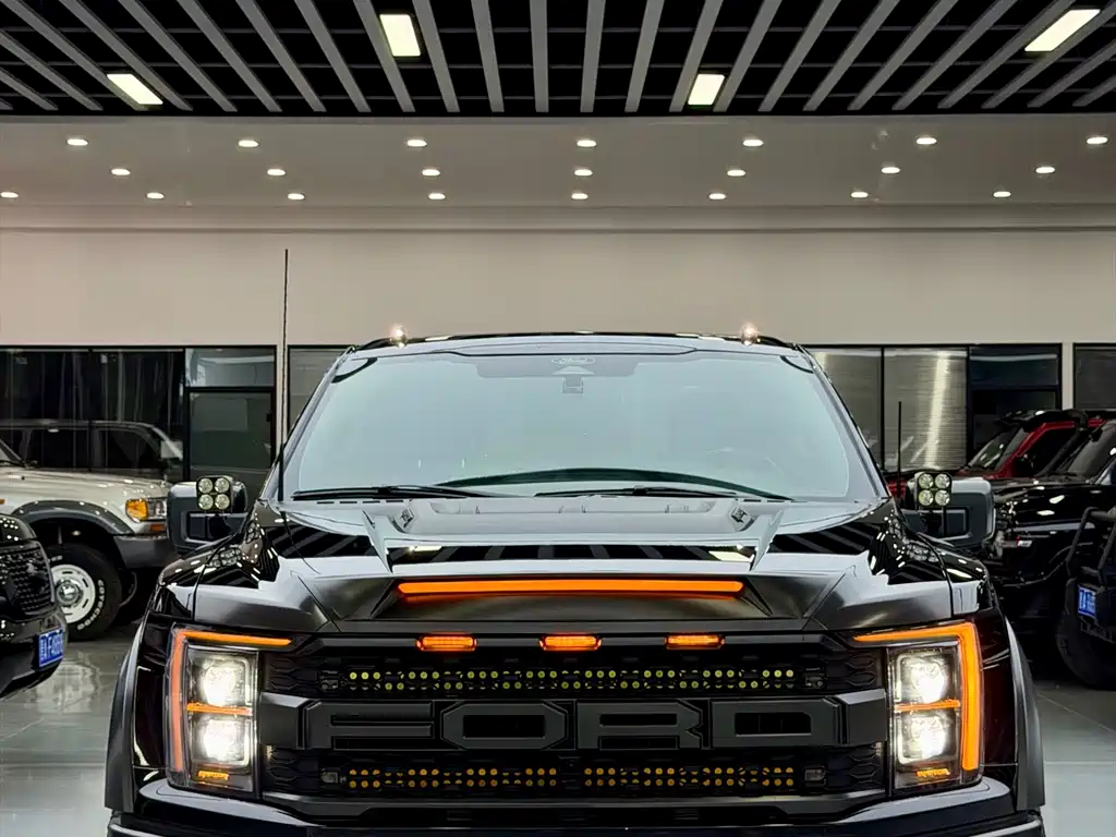Ford F-150 Raptor 2024 — фото 5