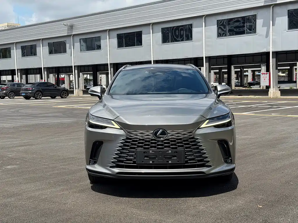 Lexus RX New Energy 2023 — фото 2