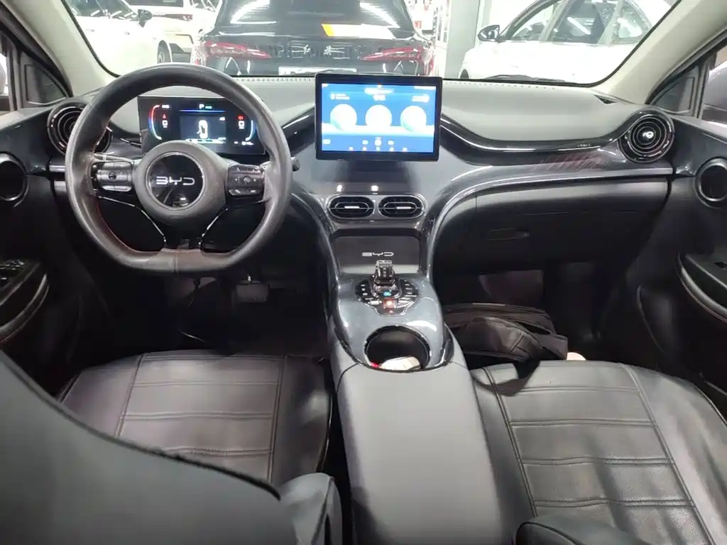 BYD e2 2024