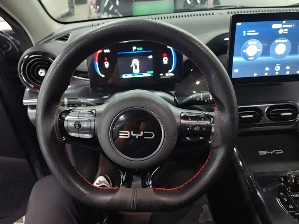 BYD e2 2024