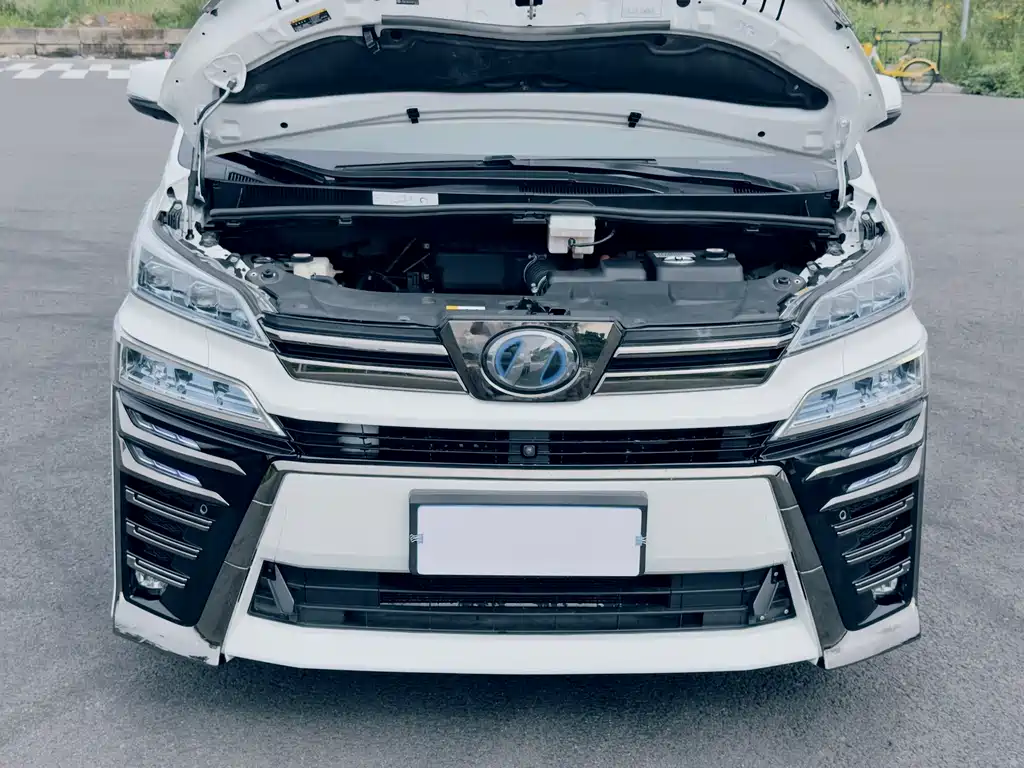Toyota Vellfire 2020 — фото 23