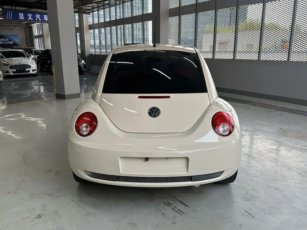 Volkswagen Beetle 2010