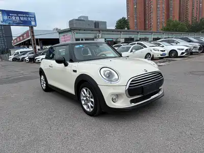 MINI MINI 2014