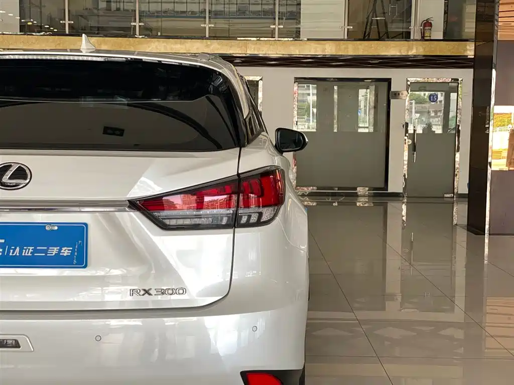 Lexus RX 2021 — фото 16