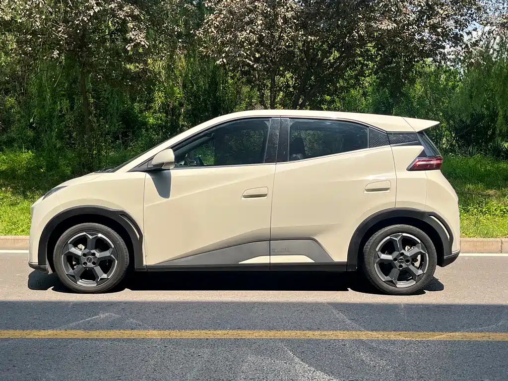 BYD Seagull 2024