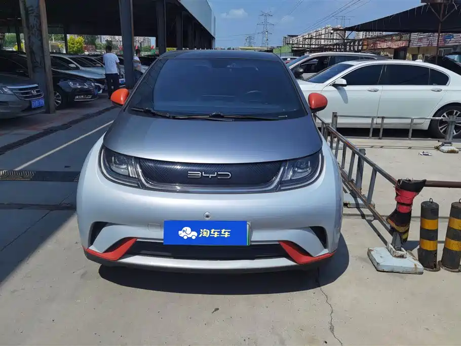BYD Dolphin 2021