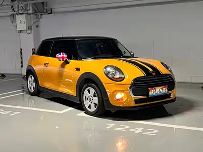 MINI MINI 2015