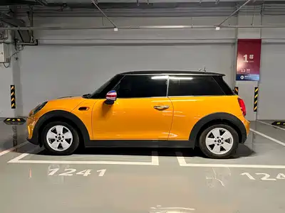 MINI MINI 2015