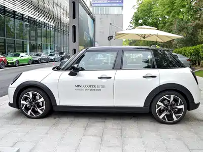 MINI MINI 2024