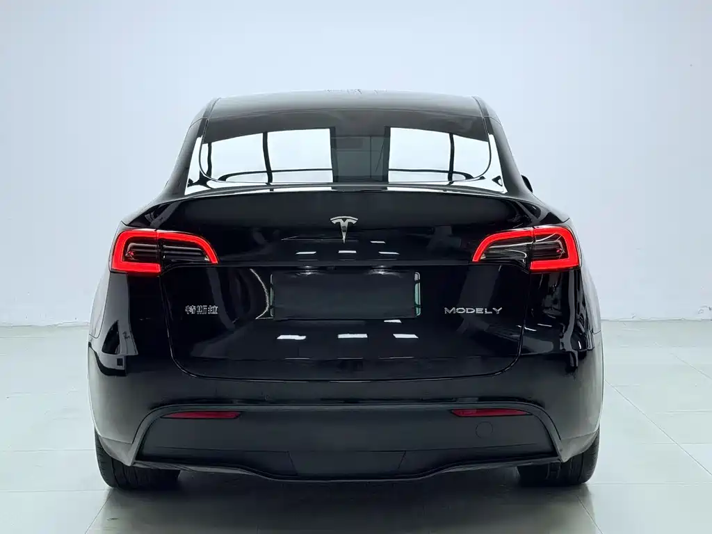 Tesla Model Y 2021 — фото 8