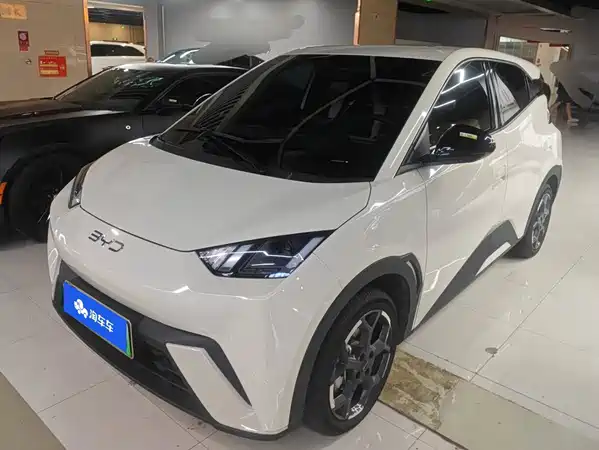 BYD Seagull 2024