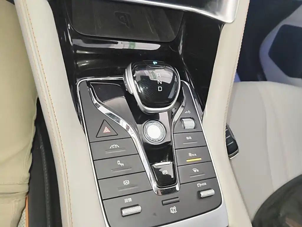 BYD Song PLUS New Energy 2022 — фото 14