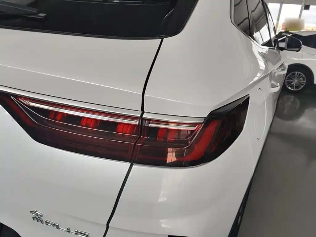 BYD Song PLUS New Energy 2022 — фото 8