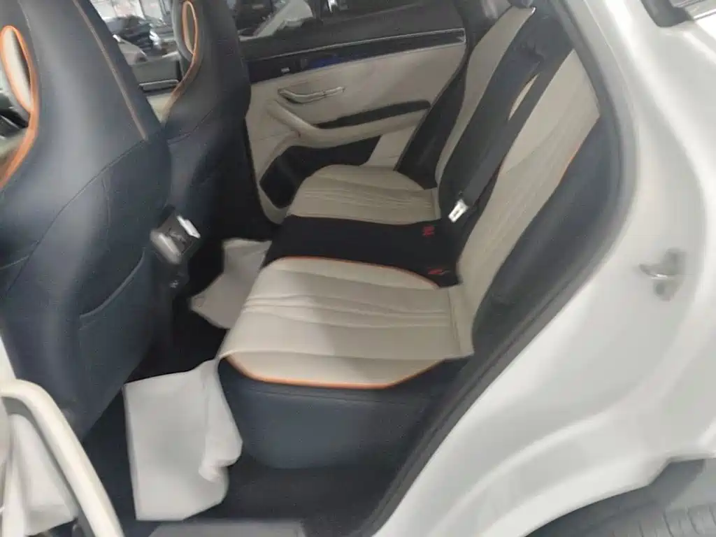 BYD Song PLUS New Energy 2022 — фото 17