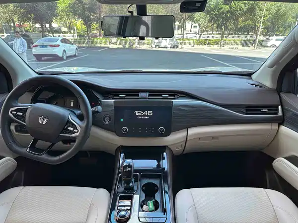Dongfeng Paladin 2024