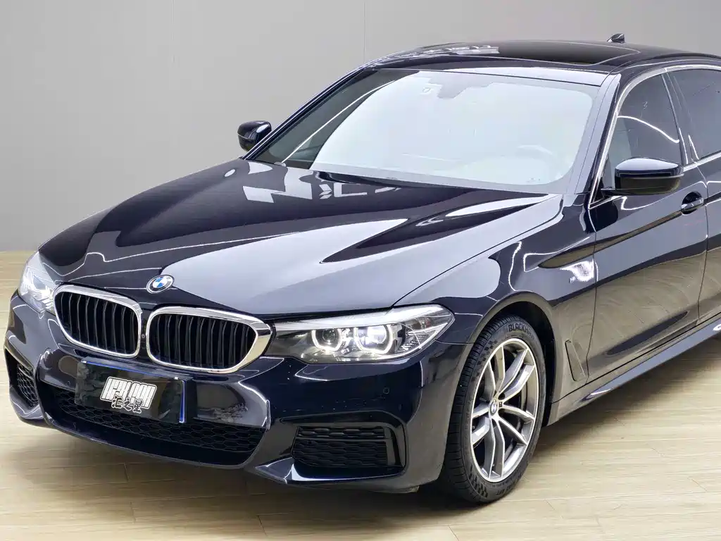 BMW 5 Series 2019 — фото 6