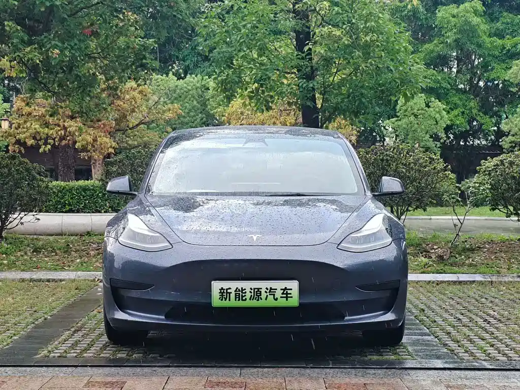 Tesla Model 3 2021 — фото 2