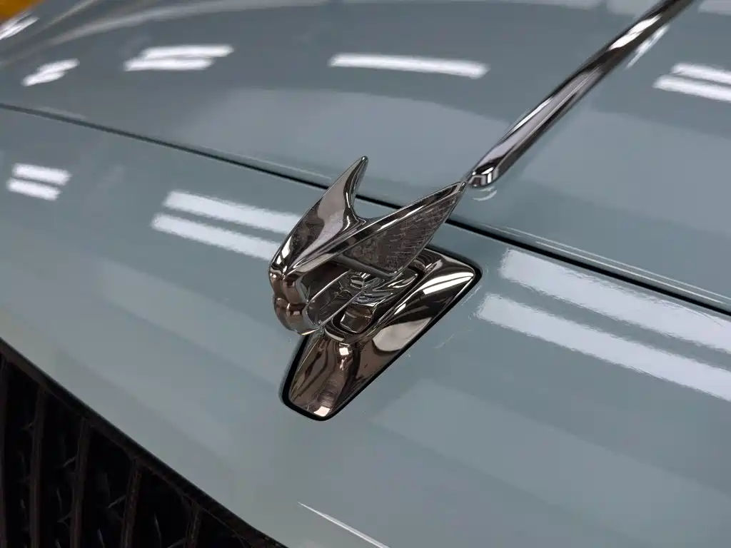 Bentley Flying Spur 2021 — фото 21