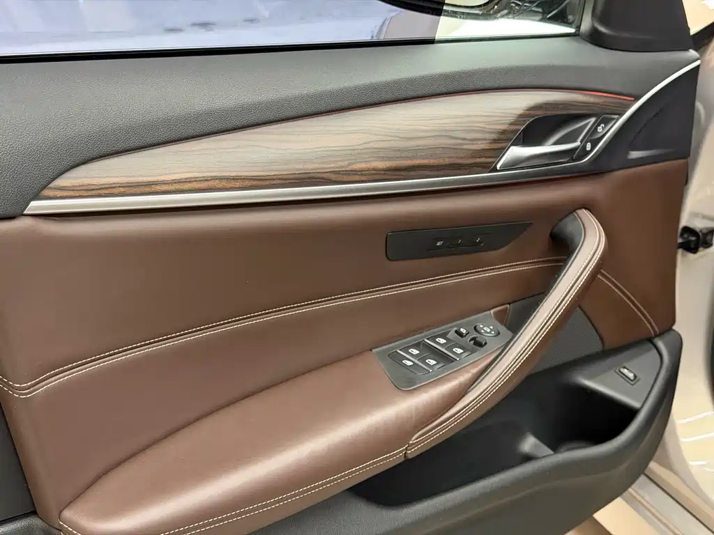 BMW 5 Series 2017 — фото 19