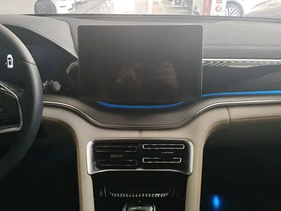 BYD Song PLUS New Energy 2022 — фото 13